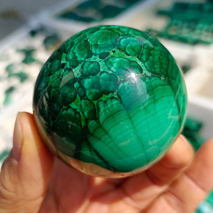 Hand-polished Malachite crystal sphere featuring vivid forest green banded patterns for heart chakra healing and energy.