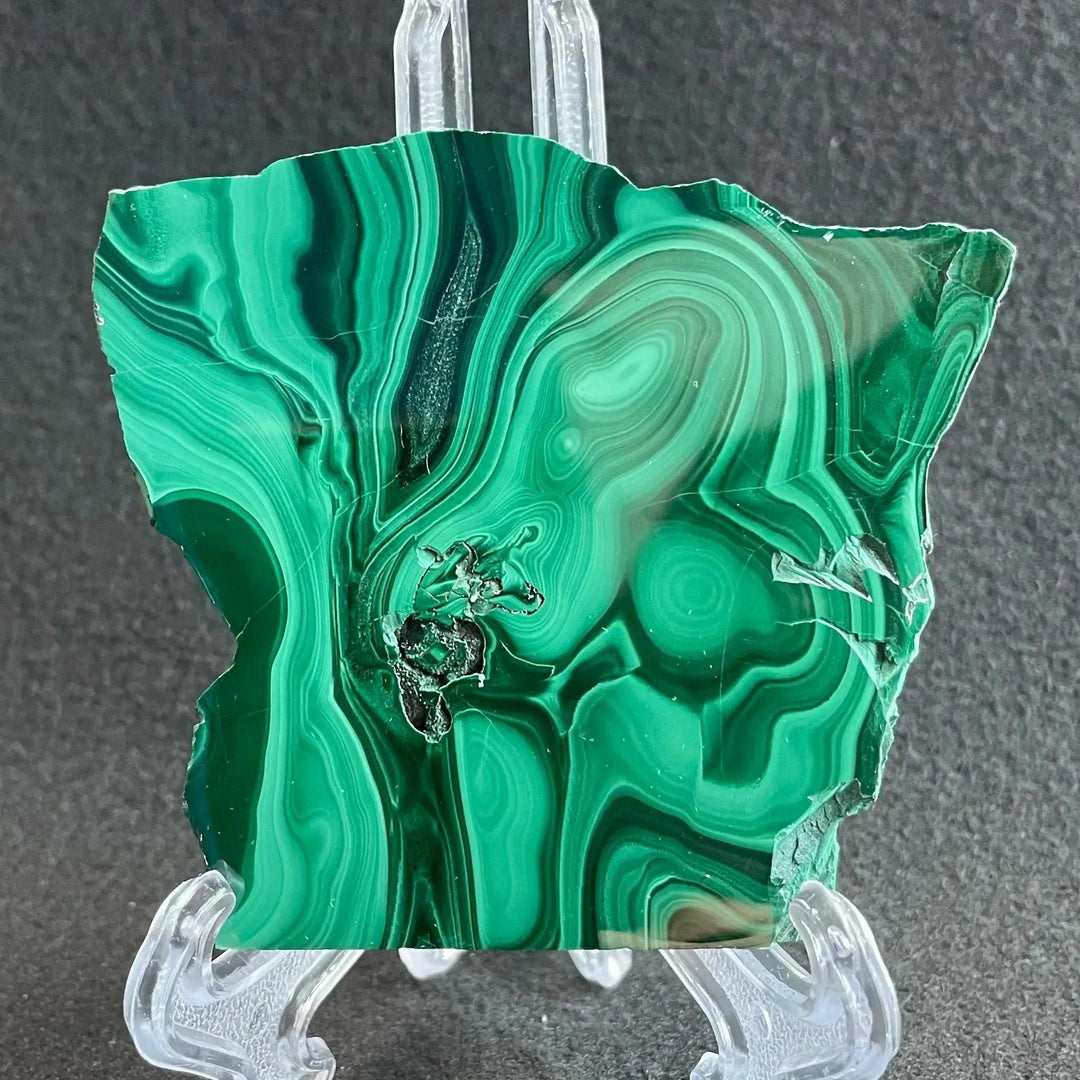 Polished Malachite crystal slice from Crystal Destiny, showcasing deep emerald and forest green swirling bands.