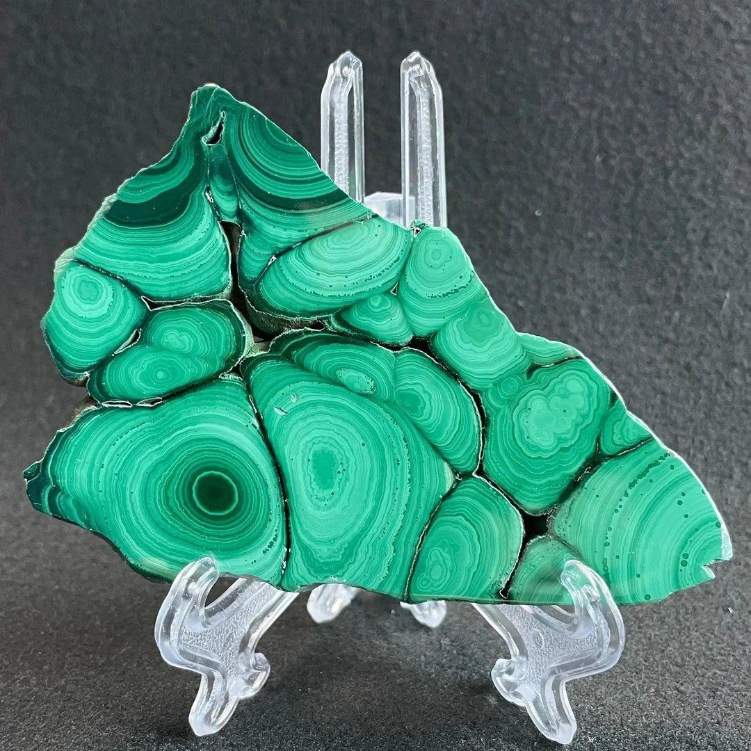 Polished Malachite crystal slice from Crystal Destiny, showcasing deep emerald and forest green concentric bands.