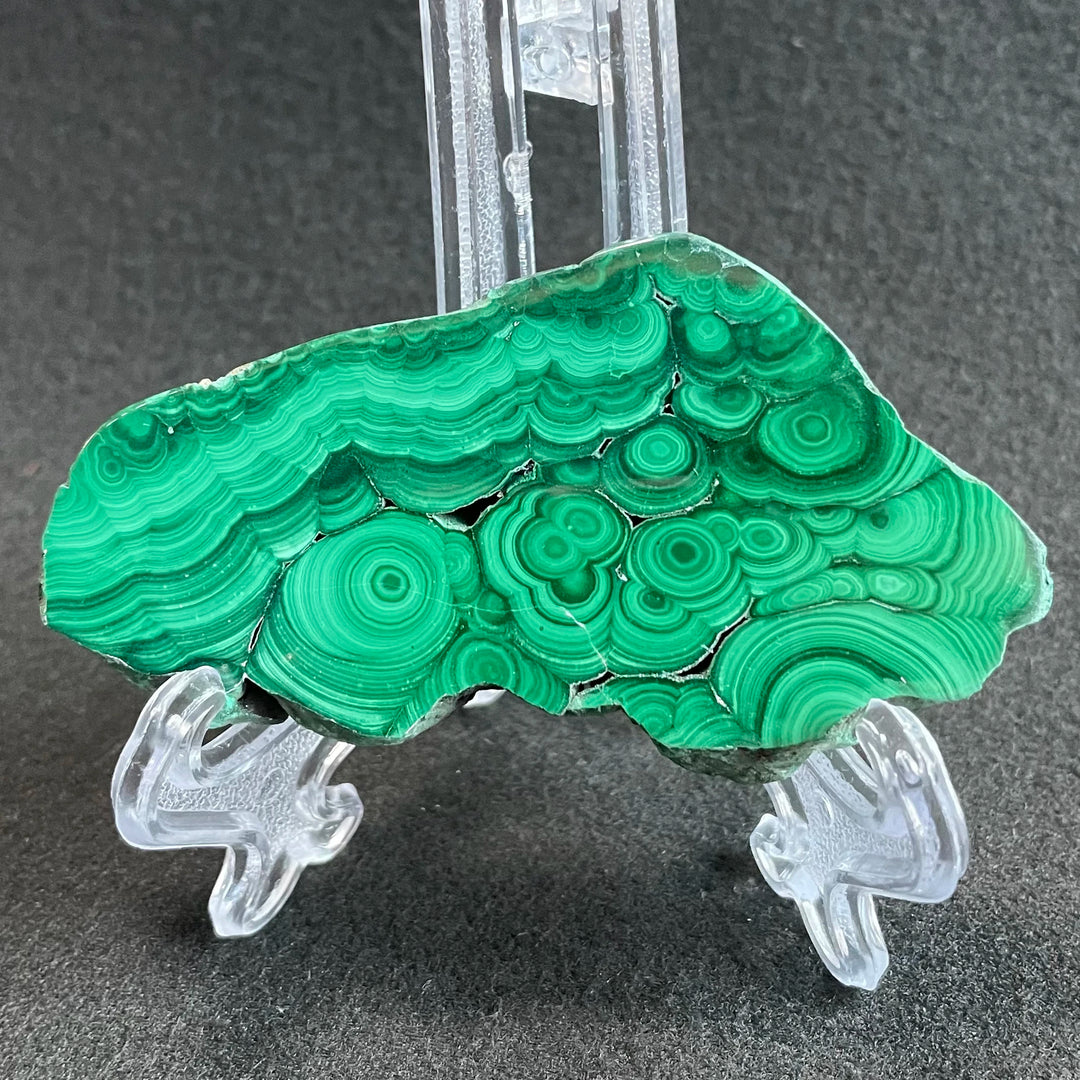 Malachite Crystal Slice-Freeforms-Ali-Malachite-D72 44g 81mm-Crystal Destiny