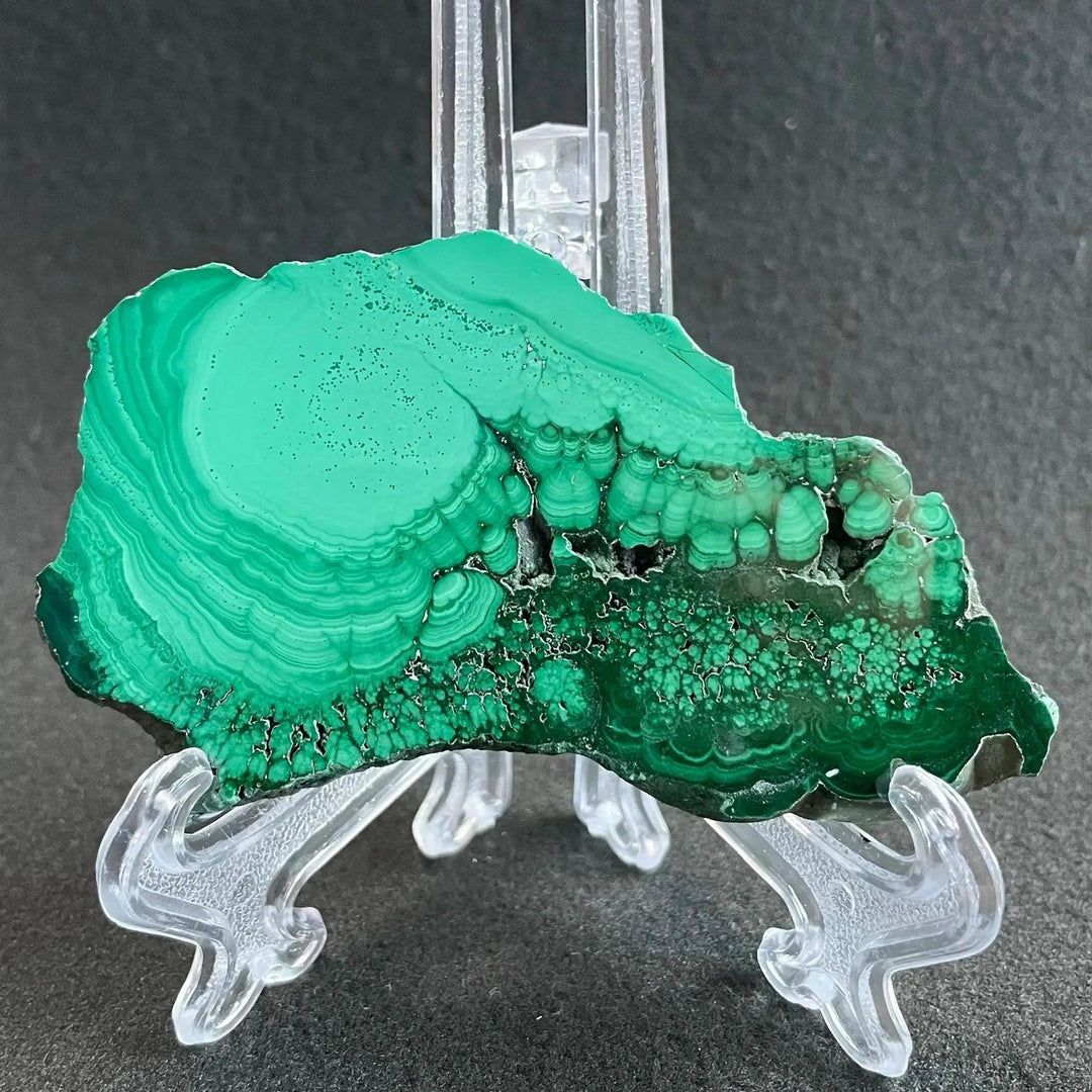 Polished Malachite crystal slice from Crystal Destiny, showcasing deep emerald and forest green concentric bands.