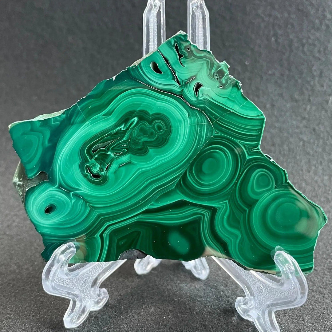Polished Malachite crystal slice from Crystal Destiny, showcasing deep emerald and forest green concentric bands.