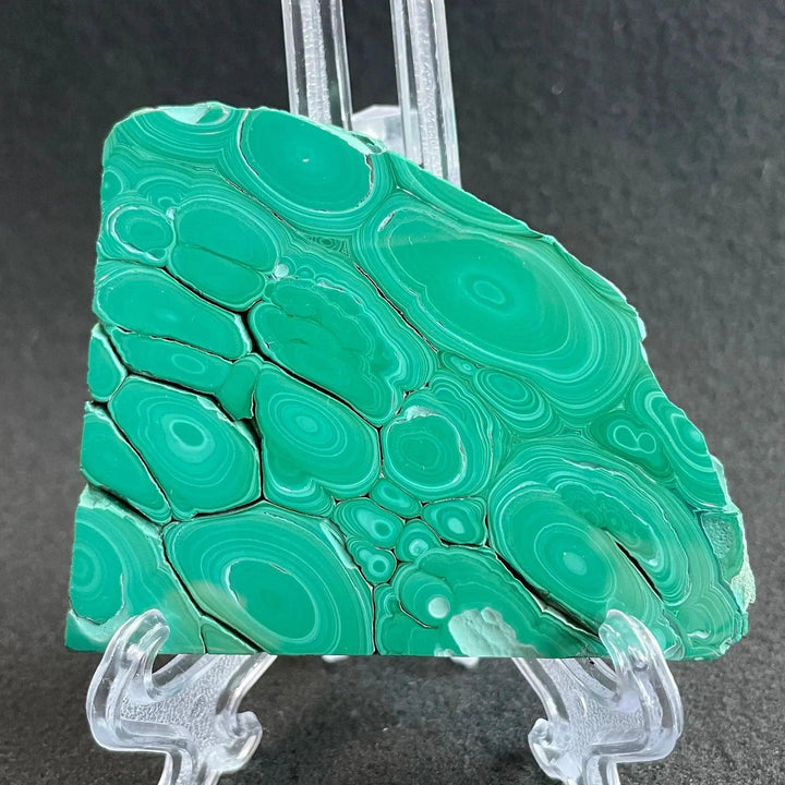 Polished Malachite crystal slice from Crystal Destiny, showcasing deep emerald and forest green concentric bands.