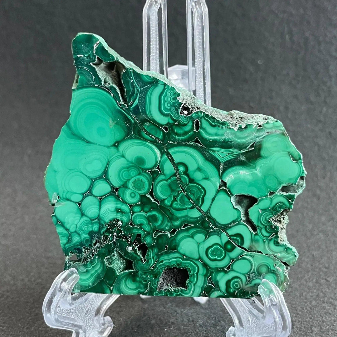 Polished Malachite crystal slice from Crystal Destiny, showcasing deep emerald and forest green concentric bands.