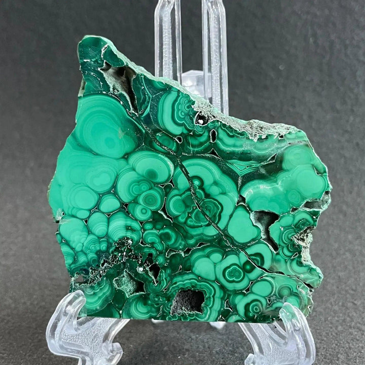 Polished Malachite crystal slice from Crystal Destiny, showcasing deep emerald and forest green concentric bands.