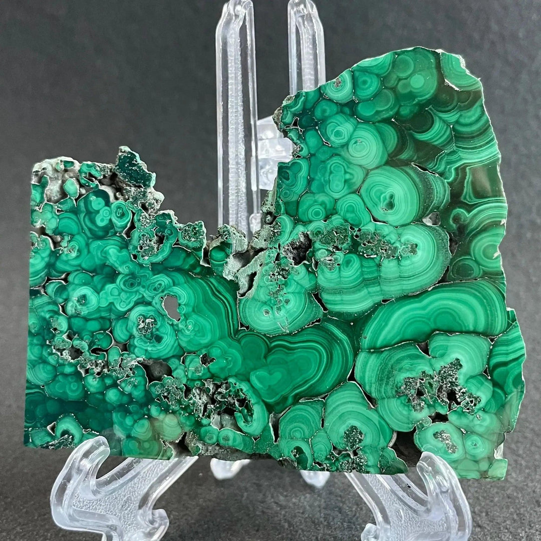 Polished Malachite crystal slice from Crystal Destiny, showcasing deep emerald and forest green concentric bands.