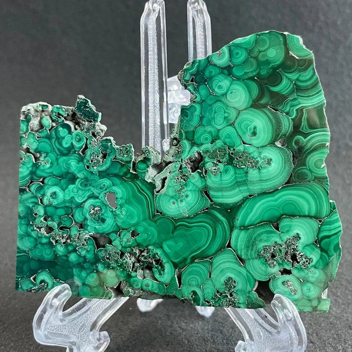 Polished Malachite crystal slice from Crystal Destiny, showcasing deep emerald and forest green concentric bands.