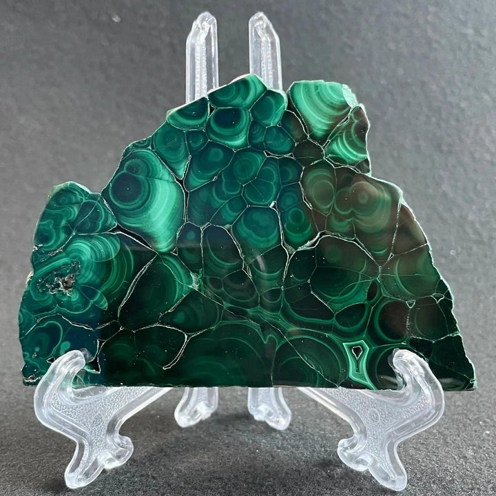 Polished Malachite crystal slice from Crystal Destiny, showcasing deep emerald and forest green concentric bands.