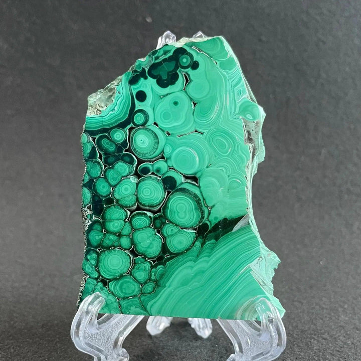 Polished Malachite crystal slice from Crystal Destiny, showcasing deep green concentric bands and swirling patterns.