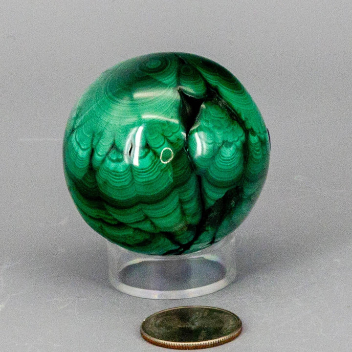 Malachite Sphere, Protective Healing Crystal. Deep forest green and mint banded sphere on a clear stand, next to a coin.