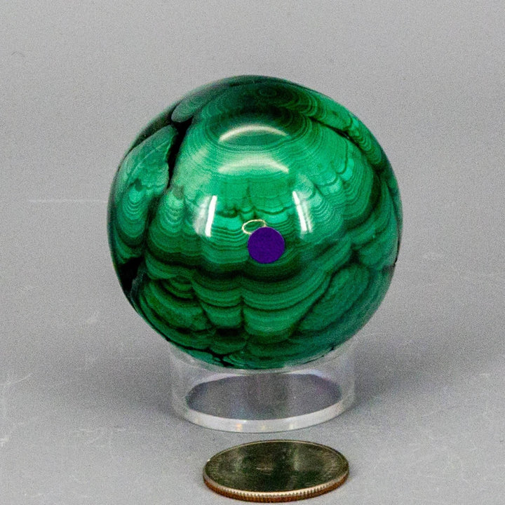Malachite Sphere, Protective Healing Crystal, showcasing deep forest green and mint concentric rings on a clear stand.