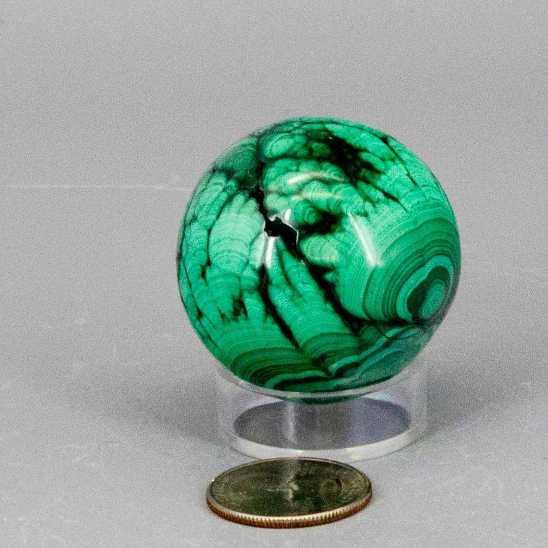 Malachite Sphere, Protective Healing Crystal, with deep forest green and mint concentric rings, on a clear stand next to a coin.