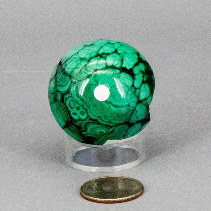 Visually commanding Malachite Sphere, a protective healing crystal with deep forest green and mint concentric banding.