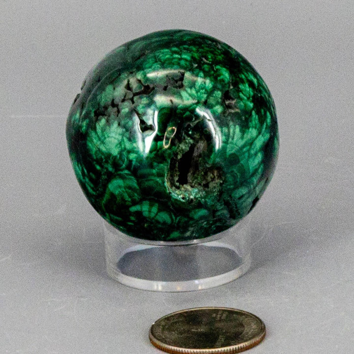 Visually commanding Malachite Sphere, a protective healing crystal with deep forest green and mint banding, on a clear stand.