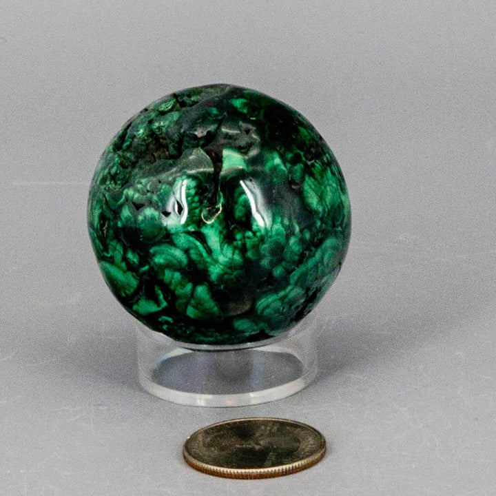 Visually commanding Malachite Sphere, a protective healing crystal with deep forest green and mint banding, displayed on a stand next to a quarter.
