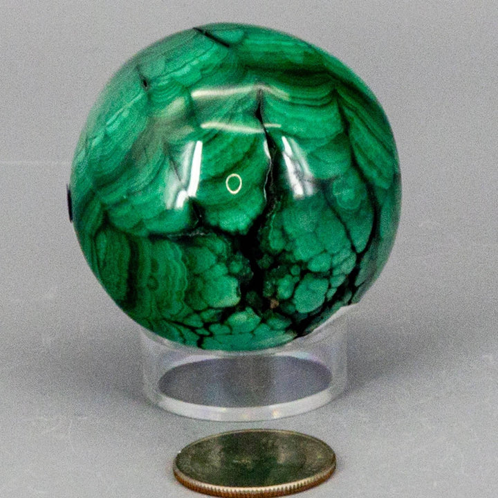 Visually commanding Malachite Sphere, a protective healing crystal with deep forest green and mint banding, on a clear stand.