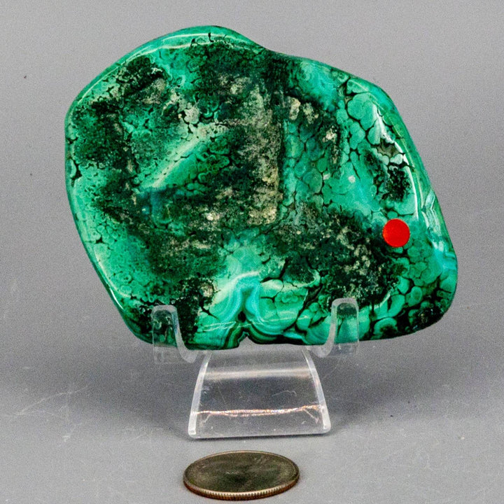 Malachite Freeform Crystals-Freeforms-Crystal Destiny-Malachite-152g - 3.00" x 3.50"-Crystal Destiny