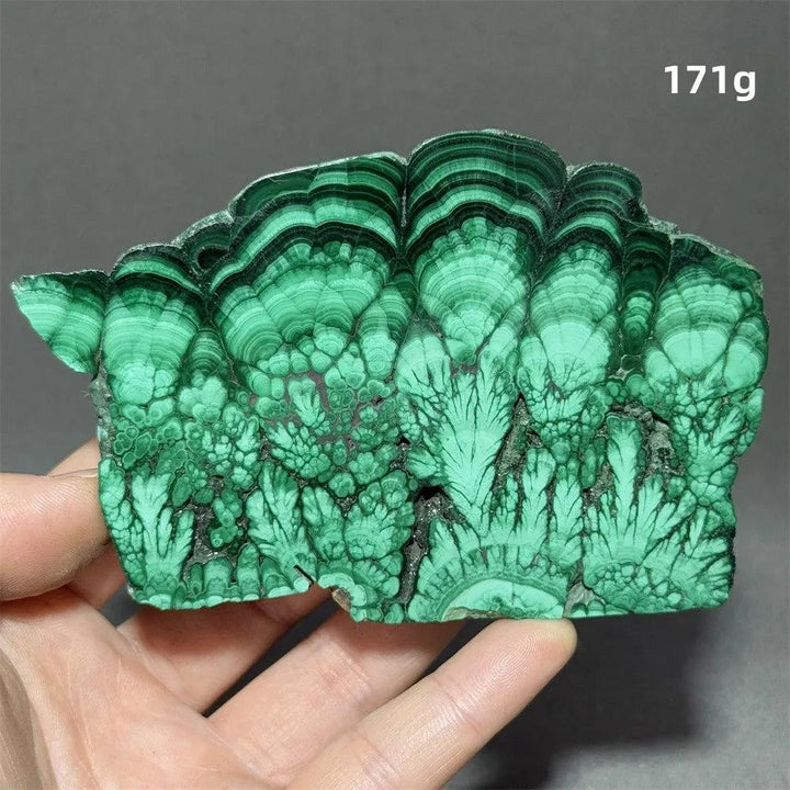 Stunning Malachite Raw Crystal Natural Stone Slice with vivid swirling green bands, ideal for growth and healing.