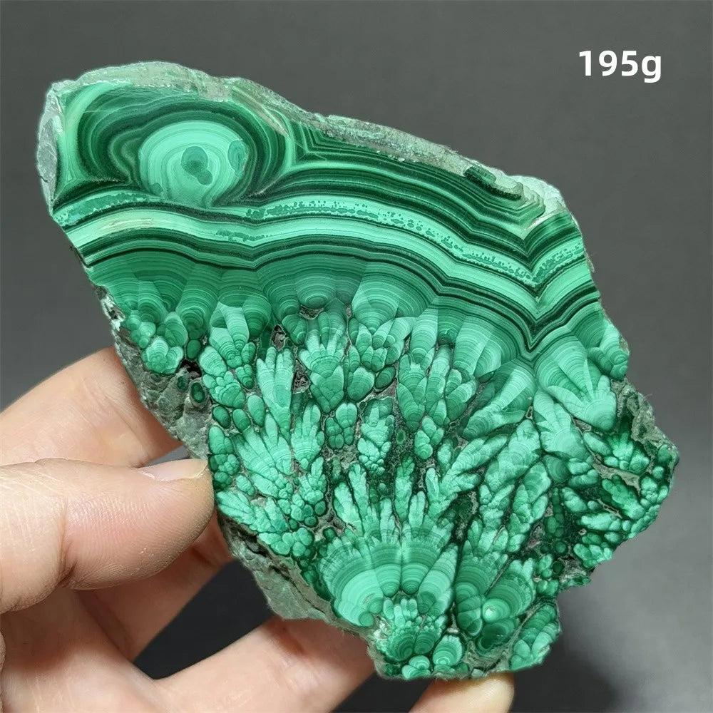 Stunning Malachite Raw Crystal Natural Stone Slice with vivid swirling forest green banding, 195g.