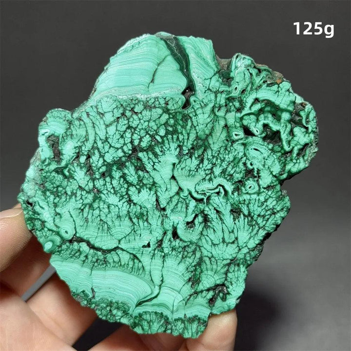 Stunning Malachite Raw Crystal Natural Stone Slice with vivid swirling forest green banding for growth and transformation.