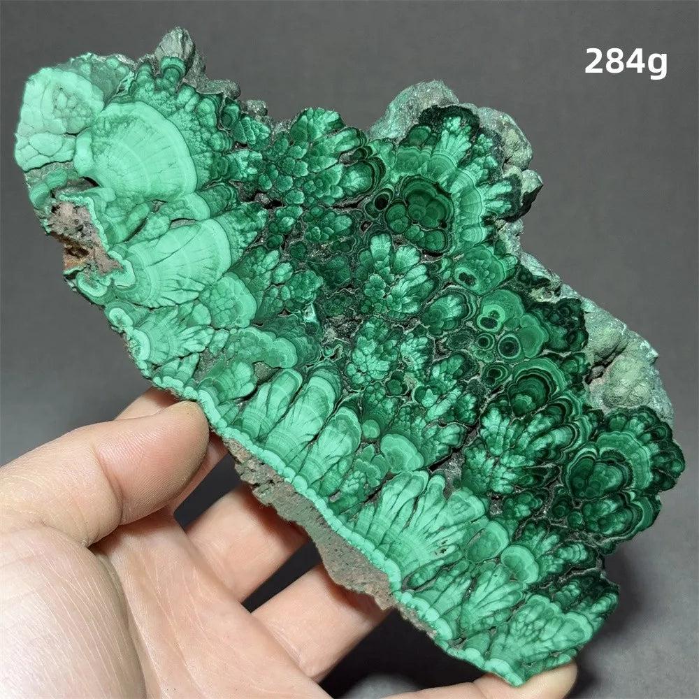 Stunning Malachite Raw Crystal Natural Stone Slice with vivid swirling forest green banding, ideal for healing and growth.