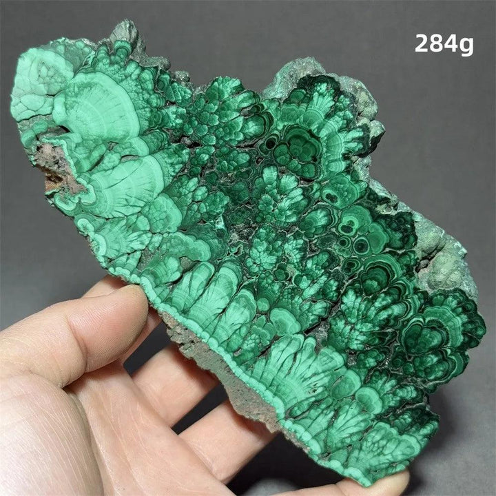 Stunning Malachite Raw Crystal Natural Stone Slice with vivid swirling forest green banding, ideal for healing and growth.
