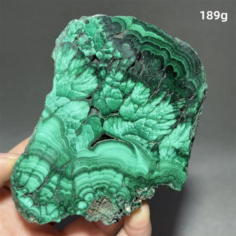 Stunning Malachite Raw Crystal Natural Stone Slice, 189g, with vivid swirling forest green banding for healing.