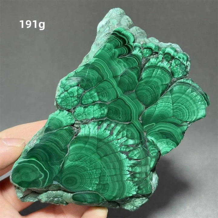 Stunning Malachite Raw Crystal Natural Stone Slice with vivid swirling forest green banding, ideal for growth and healing.