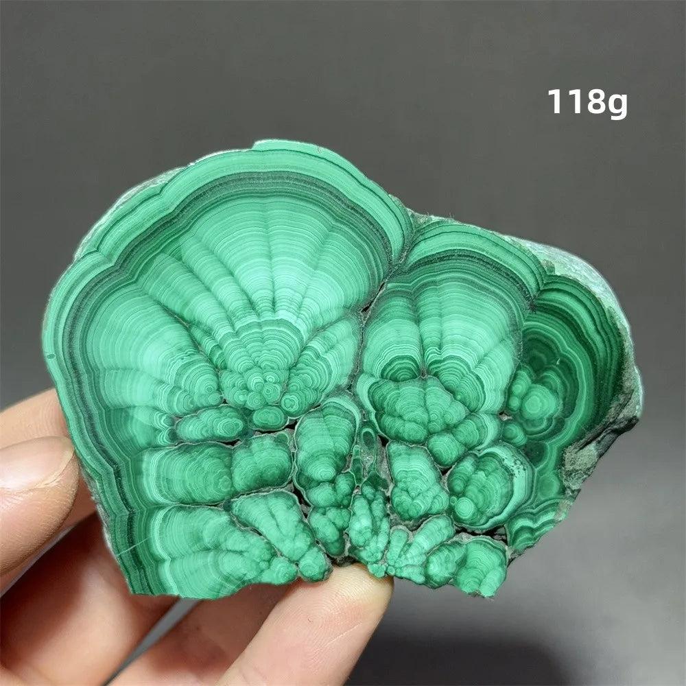 Stunning Malachite Raw Crystal Natural Stone Slice, 118g, with vivid swirling forest green banding for healing.