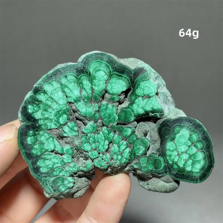 Stunning Malachite Raw Crystal Natural Stone Slice with vivid swirling forest green banding for growth and healing.