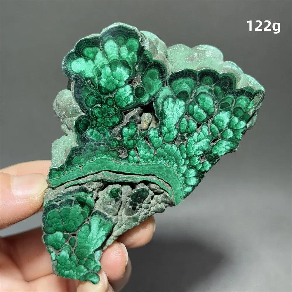 Malachite Raw Crystal Natural Stone Slice with vivid swirling forest green bands, ideal for growth and transformation.