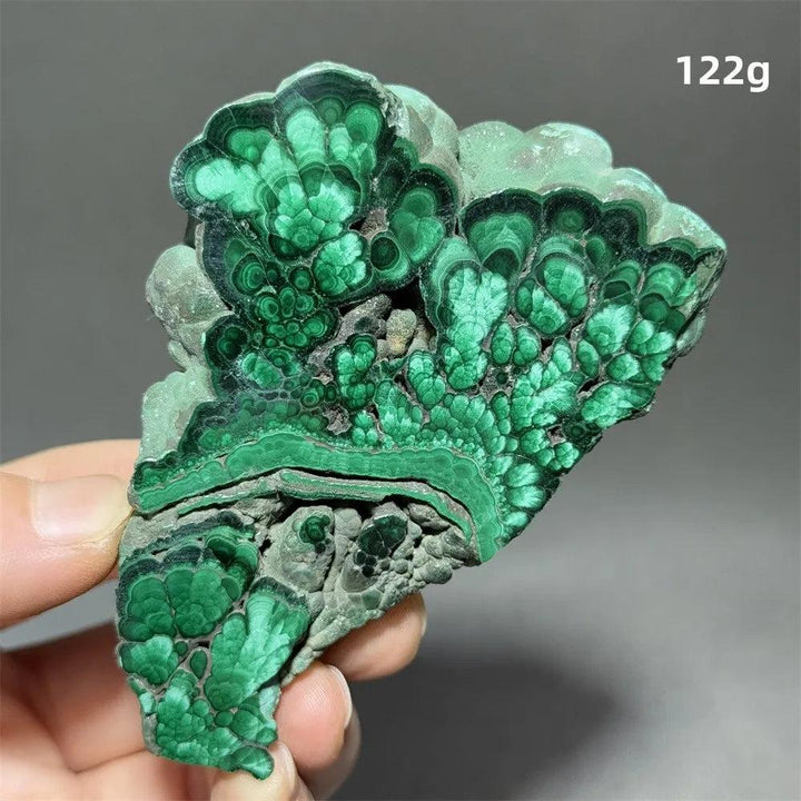 Malachite Raw Crystal Natural Stone Slice with vivid swirling forest green bands, ideal for growth and transformation.