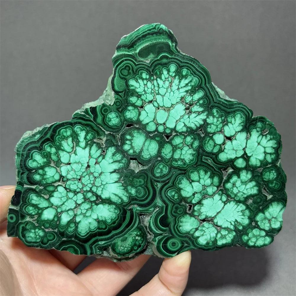 Stunning Malachite Raw Crystal Natural Stone Slice with vivid swirling forest green bands, ideal for growth and healing.