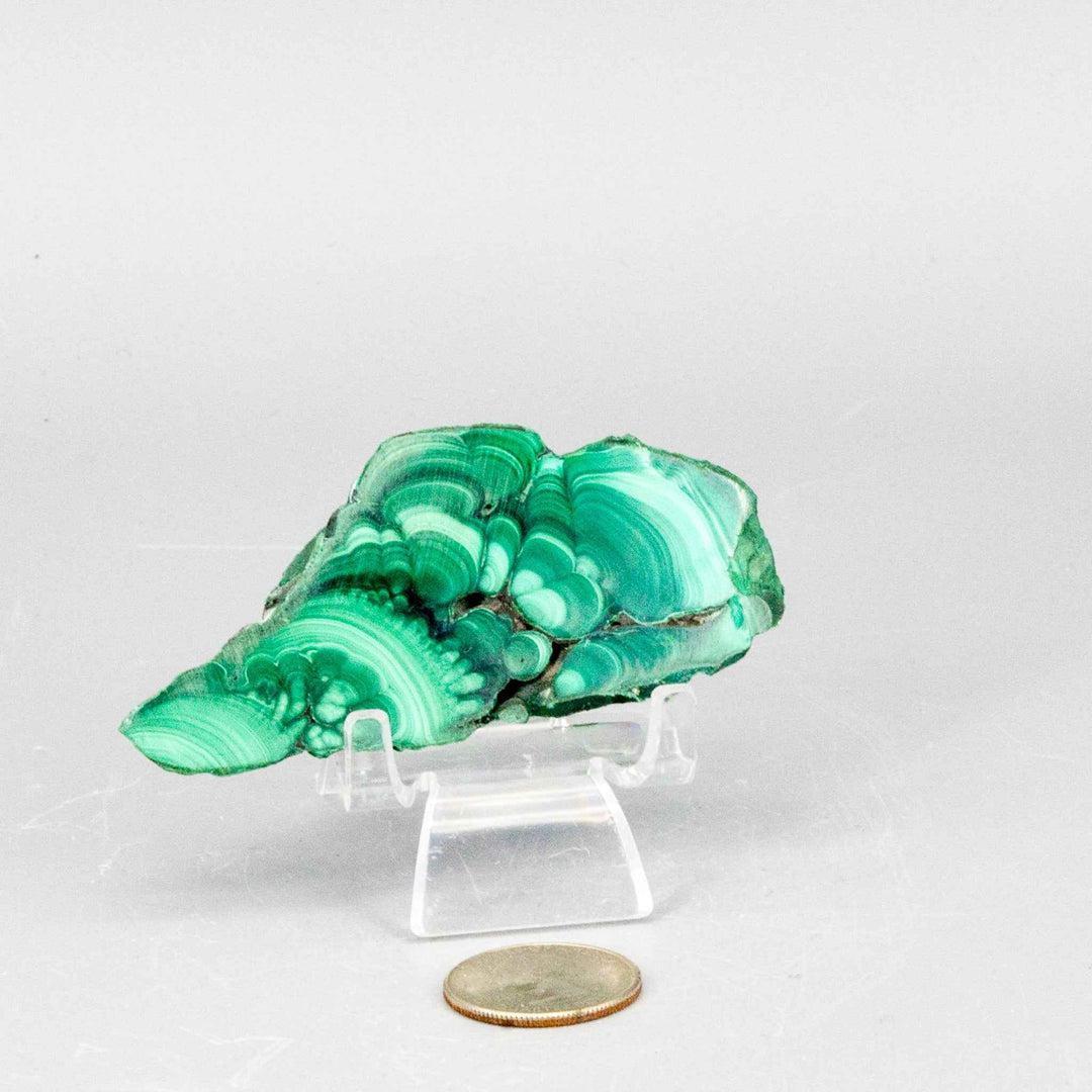 Malachite Slices, Polished Healing Stone-Slabs-Crystal Destiny-Malachite-104g - 3.25"L x 2.00"W-Crystal Destiny