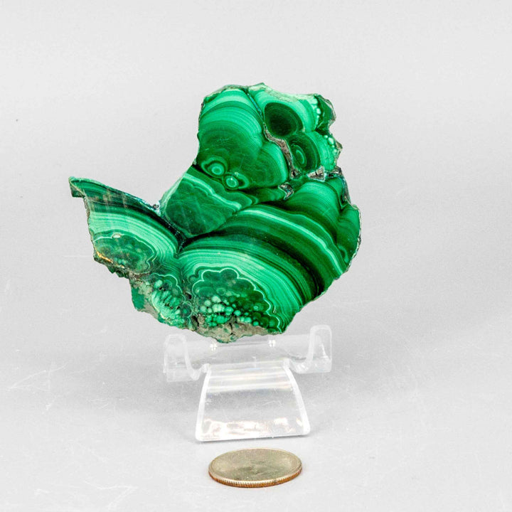 Malachite Slices, Polished Healing Stone-Slabs-Crystal Destiny-Malachite-76g - 3.00"L x 2.75"W-Crystal Destiny