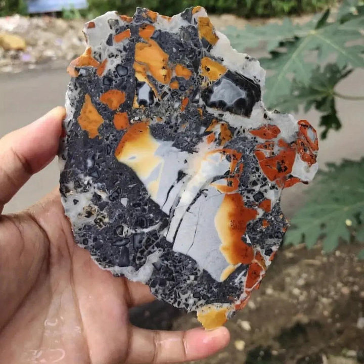 Hand holding a Maligano Jasper crystal slab with swirling yellow, black, white, and orange patterns from Crystal Destiny.