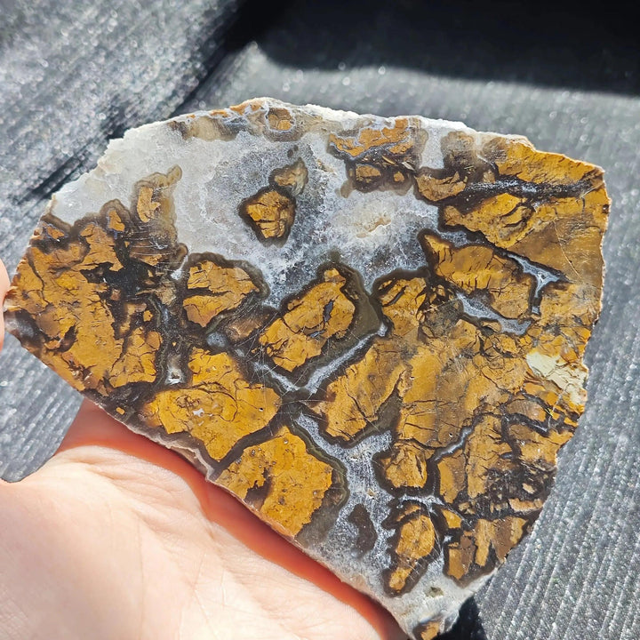 Maligano Jasper crystal slab from Crystal Destiny, featuring bold yellow, black, and white swirling patterns.