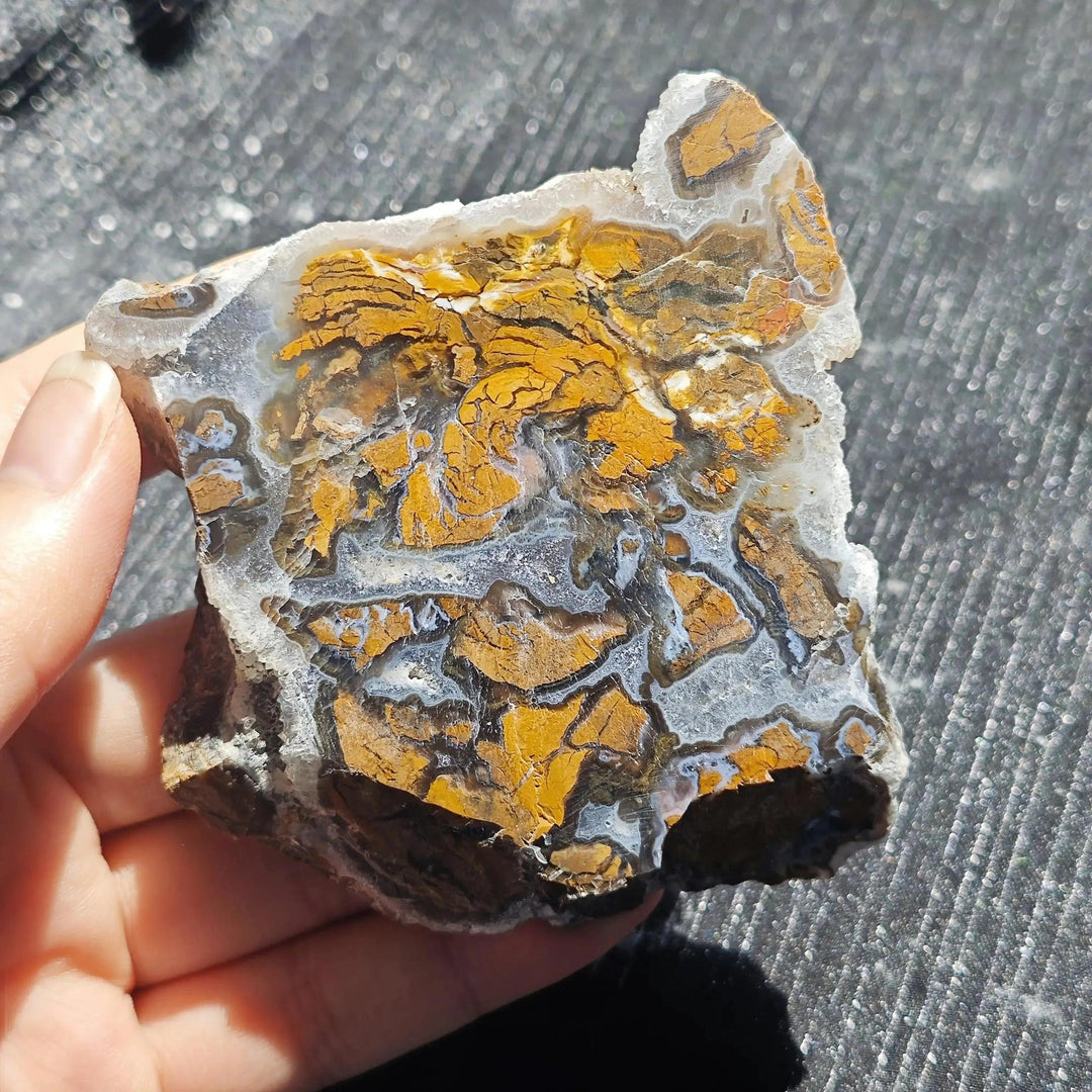 Maligano Jasper crystal slab from Crystal Destiny, featuring bold yellow, black, and white swirling patterns.