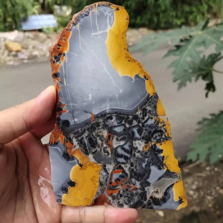 Maligano Jasper Crystal Destiny slab with yellow, black, and white swirls, held in hand.