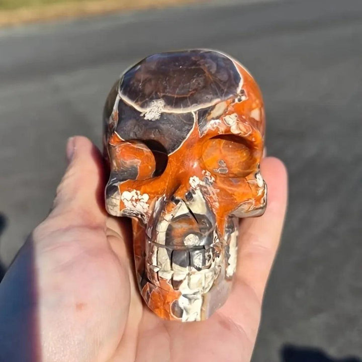 Hand-carved Natural Money Agate crystal skull with vibrant orange and brown patterns for spiritual healing and decor.