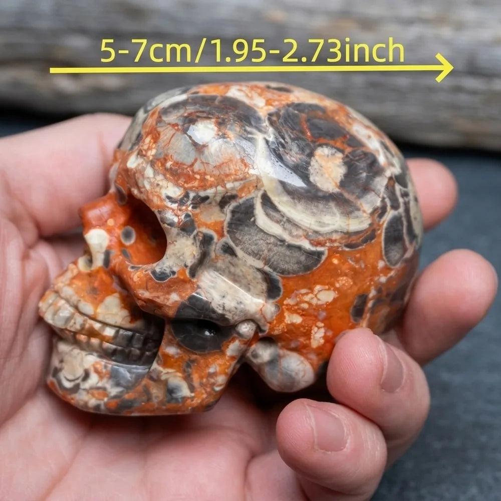 Hand-carved 5-7cm Money Agate crystal skull with vibrant orange and grey patterns, perfect for healing energy and decor.