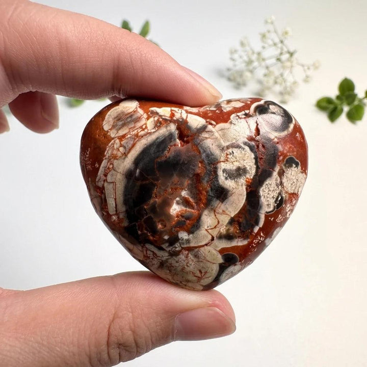 Polished Natural Money Agate heart crystal with striking red, black, and cream patterns for healing and home decor.