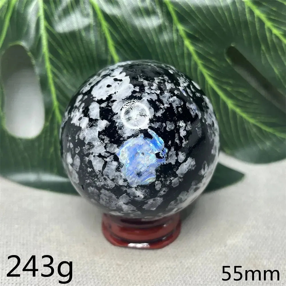 Moonstone Black Tourmaline Crystal Sphere-Spheres-Crystal Destiny-Moonstone-Weight 185g-Crystal Destiny