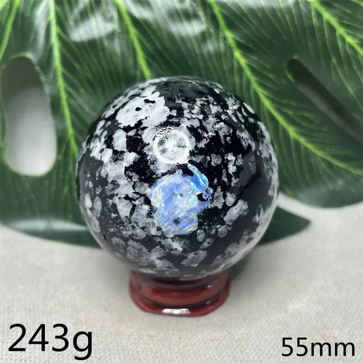 Moonstone Black Tourmaline Crystal Sphere-Spheres-Crystal Destiny-Moonstone-Weight 185g-Crystal Destiny