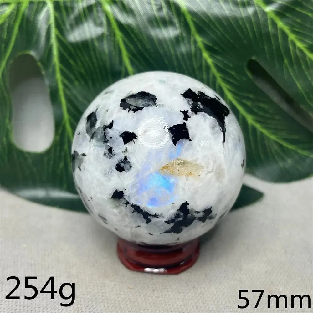 Moonstone Black Tourmaline Crystal Sphere-Spheres-Crystal Destiny-Moonstone-Weight 185g-Crystal Destiny