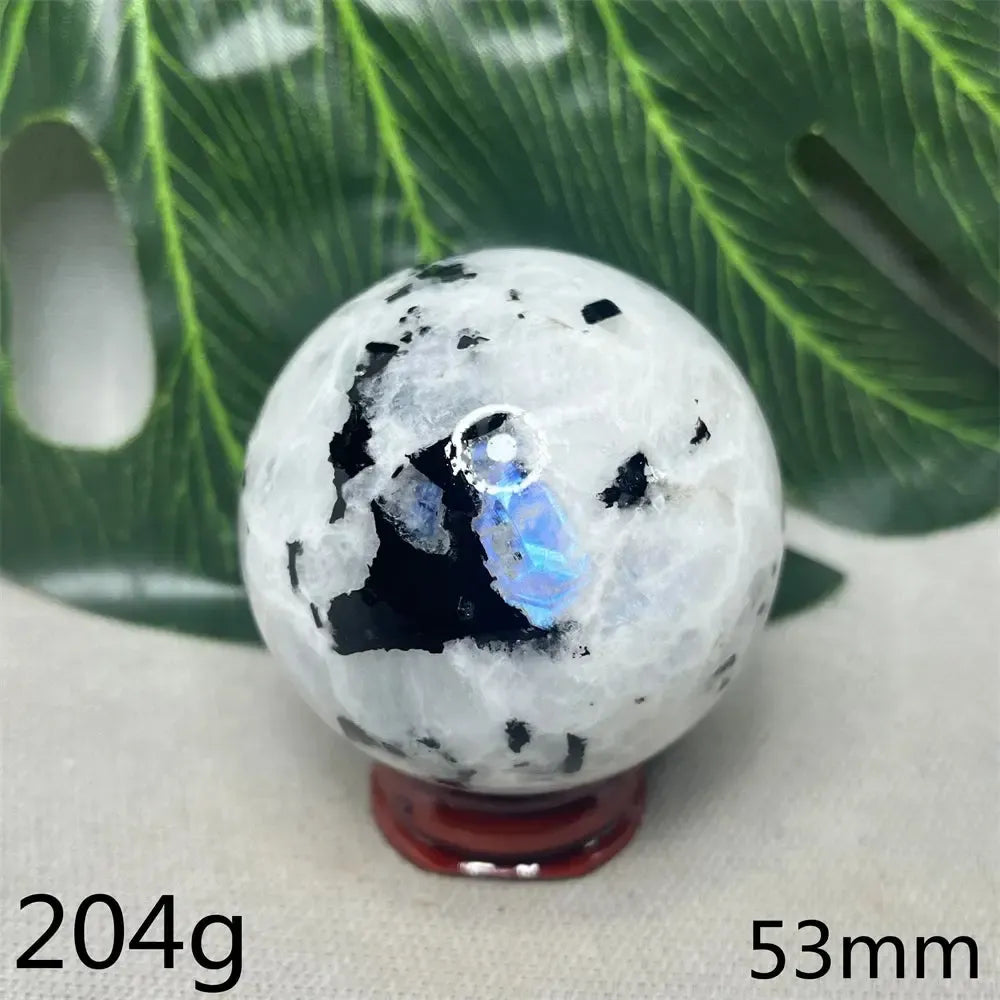 Moonstone Black Tourmaline Crystal Sphere-Spheres-Crystal Destiny-Moonstone-Weight 185g-Crystal Destiny