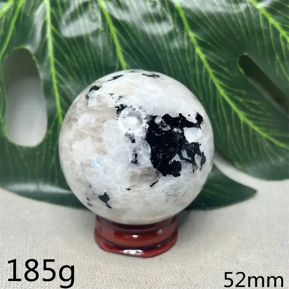 Moonstone Black Tourmaline Crystal Sphere-Spheres-Crystal Destiny-Moonstone-Weight 185g-Crystal Destiny