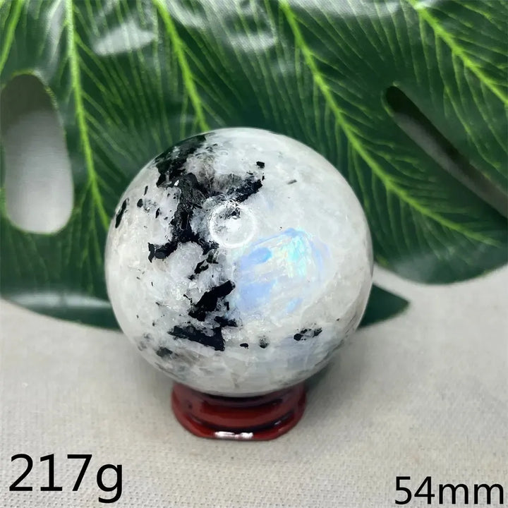 Moonstone Black Tourmaline Crystal Sphere-Spheres-Crystal Destiny-Moonstone-Weight 217g-Crystal Destiny