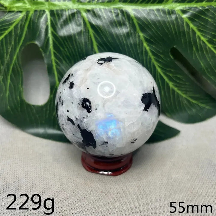 Moonstone Black Tourmaline Crystal Sphere-Spheres-Crystal Destiny-Moonstone-Weight 229g-Crystal Destiny