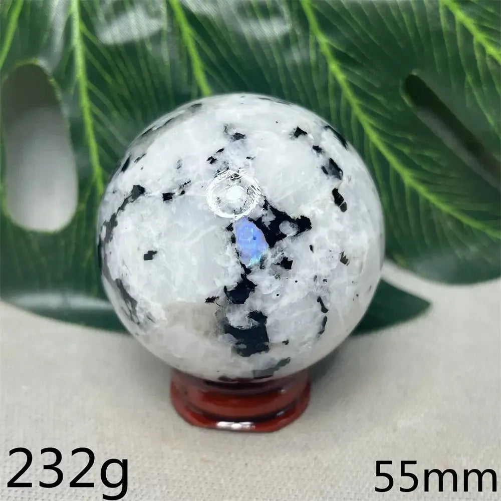 Moonstone Black Tourmaline Crystal Sphere-Spheres-Crystal Destiny-Moonstone-Weight 232g-Crystal Destiny